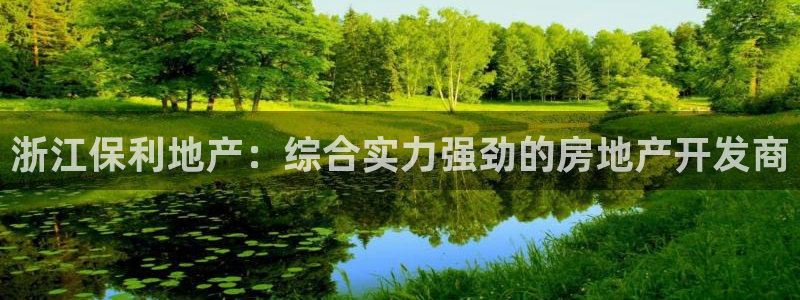 永利背一分