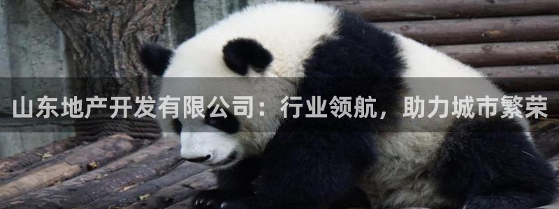 永利充值