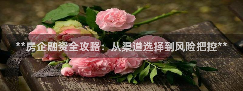 永利有限公司
