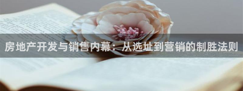 永利皮具厂东莞