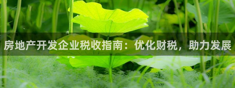 永利中国官网