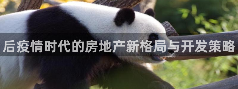 永利官网中心