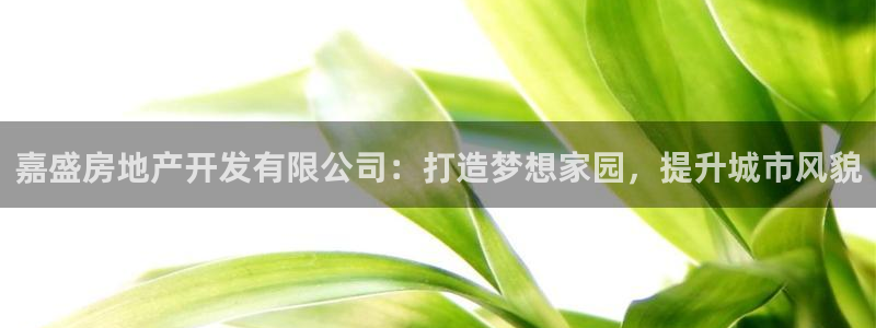 永利房地产有限公司董事长是谁
