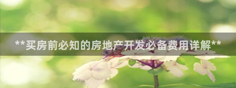 永利皮带官网旗舰店地址
