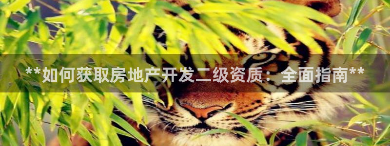 永利制版