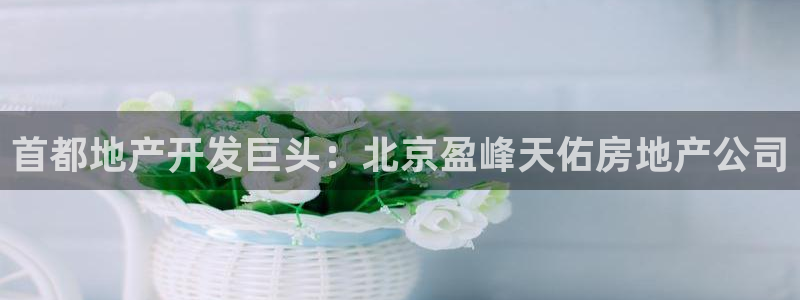 永利房地产开发有限公司总经理