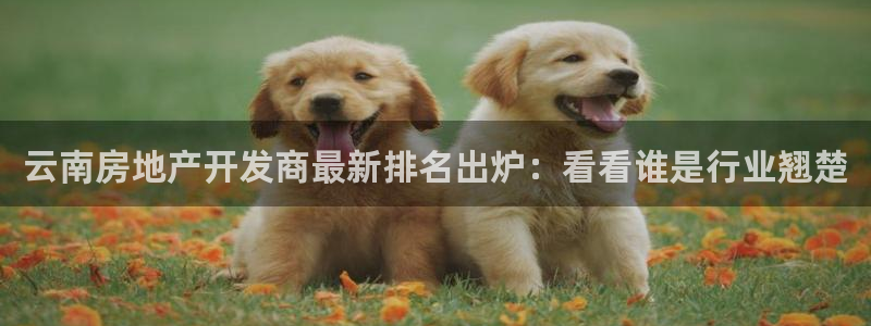 永利箱包厂