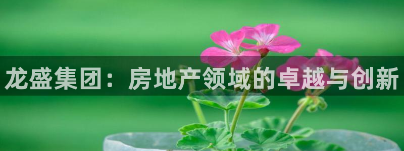 永利酒店管理有限公司