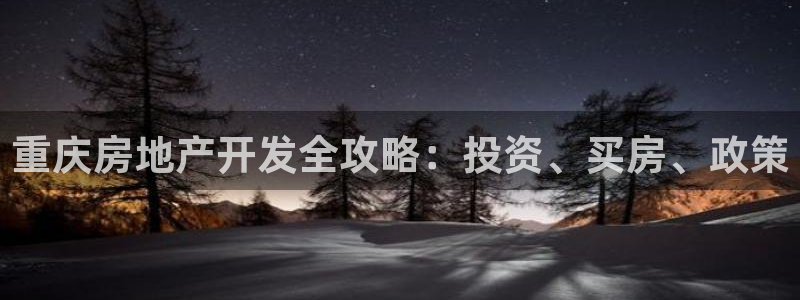 永利地产