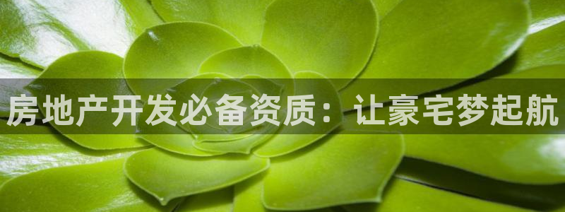 永利bet