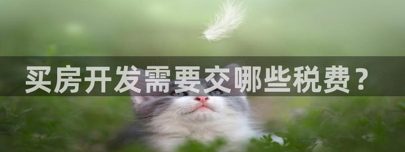 永利股份今日价