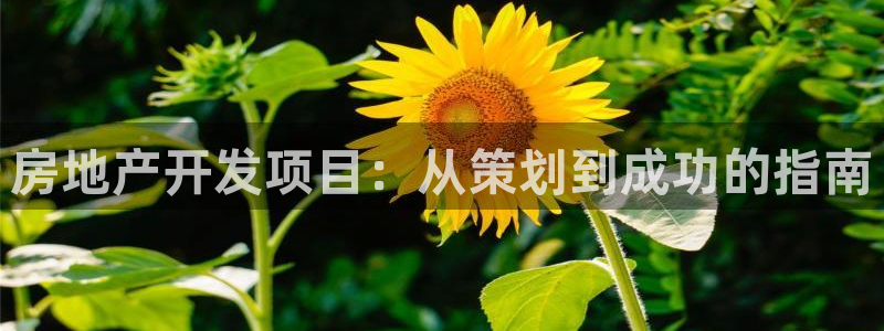 永利房地产有限公司怎么样
