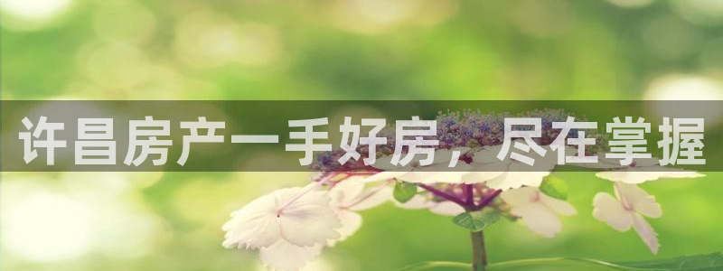 永利汇有什么服务