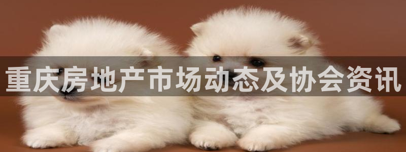 14m永利官网