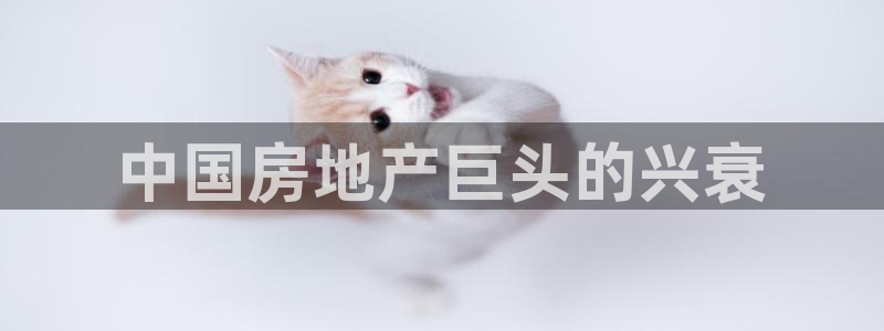 永利表行假货