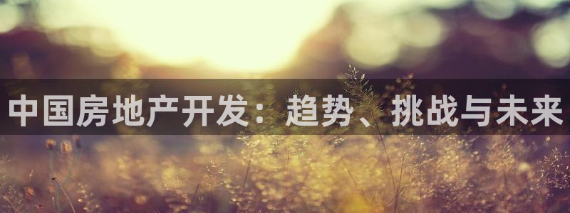 永利pc网址