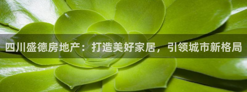永利金控控股有限公司