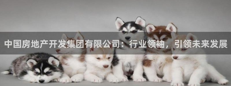 永利传送带业务