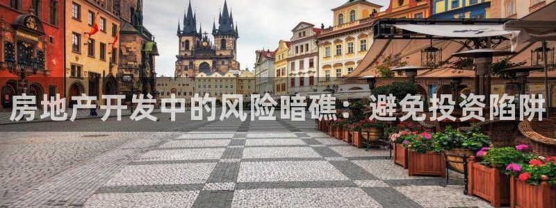 永利地产工程有限公司