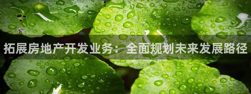 永利股份怎么样