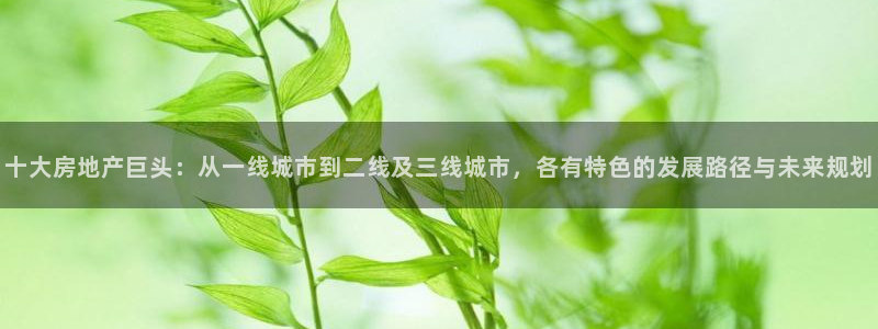永利皮带报价查询