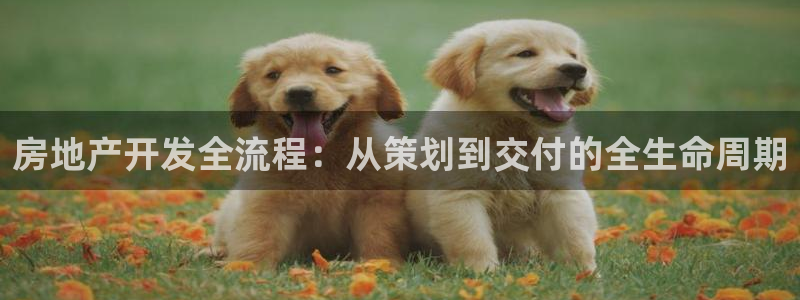 永利被黑不给出款解决方法