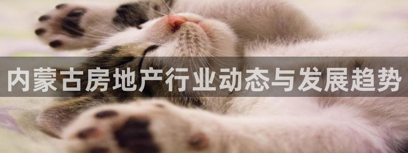 永利官网服务承诺
