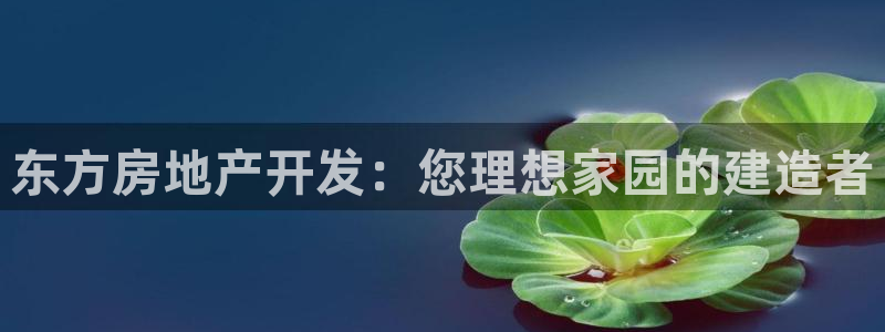 永利股份有限公司介绍