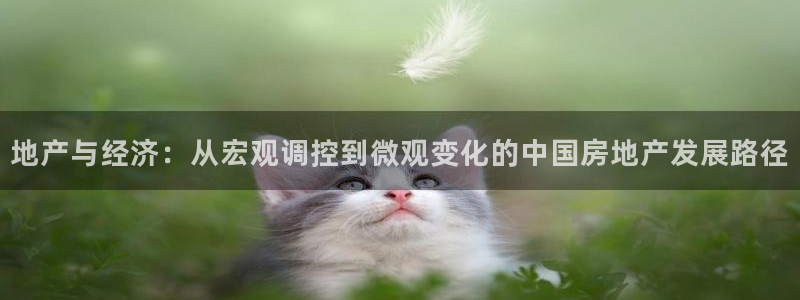 永利皇府黄立青简历