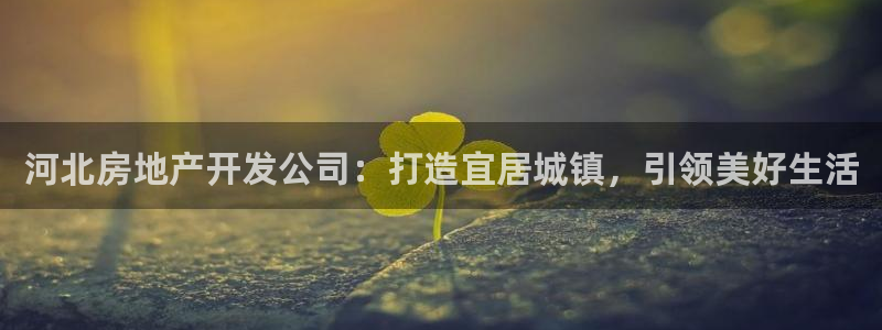永利表行为什么那么便宜