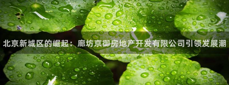永利网络科技有限公司