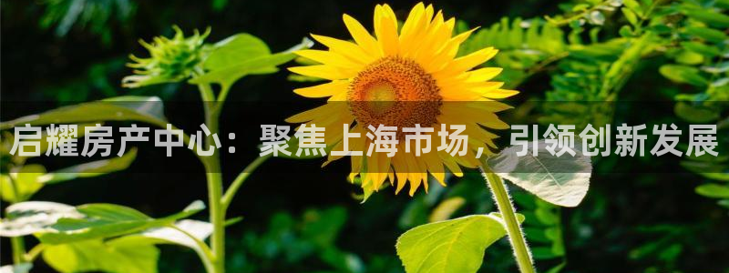 永利皮革有限公司地址