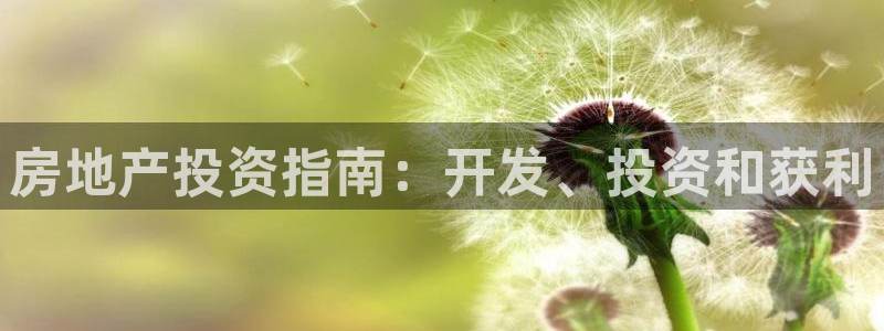 永利 老板