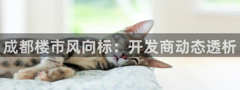 永利集团简介及地址