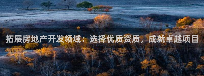 永利网会员