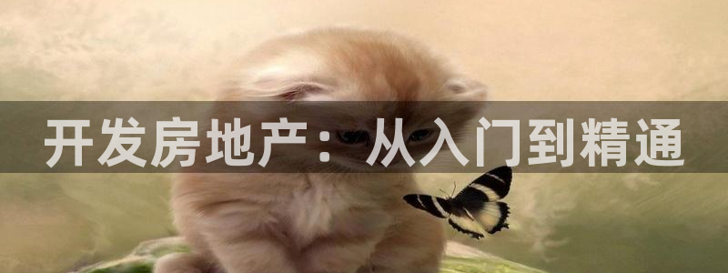 永利股份是做什么的