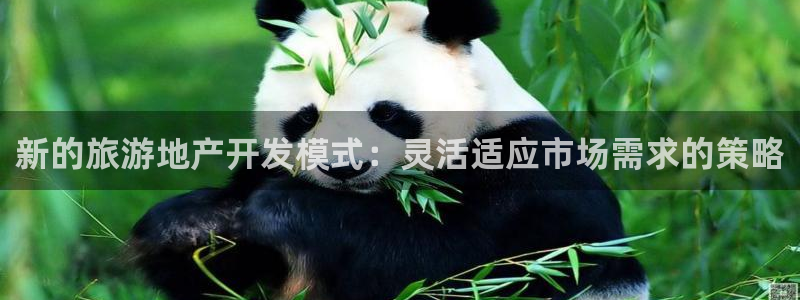 永利网是受国家法律保护吗
