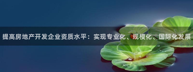 永利网是受国家法律保护吗